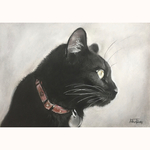 「黒猫 no.15」パステル画