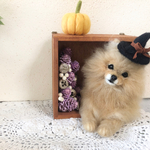 羊毛フェルト ハロウィンスタイルのポメラニアン