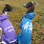 『ikuyo8様専用カート🛒』