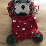 ☆クリスマスカラーわんちゃんマフラーレッド