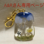 A&Rさん専用ページ
