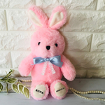 【名入れ】ピンクのうさぎさん