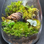 オーダーメイド専用✾✾お好きなデザインで✾✾