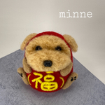 トイプードルもこ〜ろんだ⁈ 『シュナだるま(トイプーver)アプリコット・縁起物』羊毛フェルト