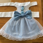 フェレット 服【ロマンティック】青チェック ワンピース