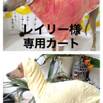 『レイリー様専用カート🛒』