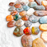 tatamata様 専用ページ✴︎