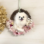 羊毛フェルト 母の日フラワーリース にこにこポメラニアン
