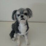 cocosshop様専用 羊毛フェルト