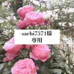 sachi7571様 専用ページ