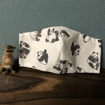 パンダ大好き! 子供用立体マスク(園児〜低学年向け) 幼稚園 保育園 小学生 夏 薄手 動物 かわいい white