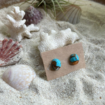 ~nature beans~ No.069