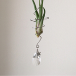 air prants swarovski sun catcher:エアプランツ スワロフスキーサンキャッチャー: