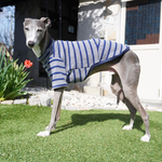 『夏のパイルニットボーダー』