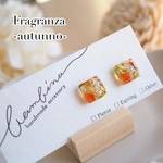 Fragranza -autunno-  /   秋の薫りのピアス・イヤリング