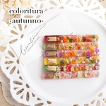 coloritura -autunno- /  秋をカラフルに彩るお花のレジンヘアクリップ