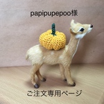 papipupepoo様専用ページ