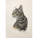 「キジトラ猫 no.13」パステル画