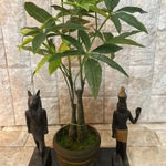 光触媒 人工観葉植物 ウォールグリーン フェイクグリーン アレンジ パキラ4128
