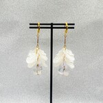 ♥Scallop SALE¥700→¥500 3/31まで