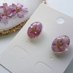透明感と桜 イヤリングorピアス オバール