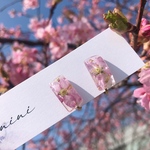 透明感と桜 イヤリングorピアス キューブ