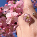 透明感と桜 リング/ビジュー付き/ フリー/ゴールド