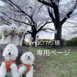 amu0715様専用ページ
