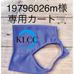 19796026m様専用カート🛒klcc+mimiusasaレーシングスーツ