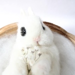 羊毛フェルト うさぎ 手乗りサイズ リアル ドワーフホト