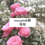 rozepink様 専用