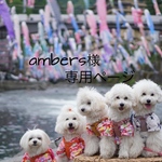 ambers様専用ページ