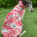 浴衣生地・うぐいす