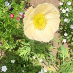 hiyosuke様専用のページ