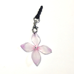 紫陽花*イヤフォンジャック