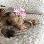 ny様専用ページ