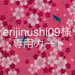 erijinushi09様専用カート🛒