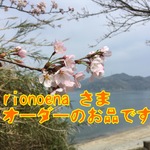 rionoenaさま オーダーのお品です