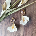 ✨全品20%OFF中✨白い花びらのはちみつ イヤリング ピアス変更OK アレルギー対応