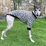 シックなクロの水玉(ジャガードニット)