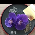 胡蝶蘭成人式和装振袖髪飾り