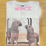 幼鳥ヨウムTシャツ(白)(Mサイズ)