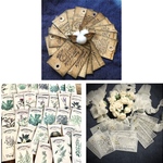 roseteddy様のお品になります^_^