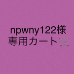 npwny122様専用カート🛒