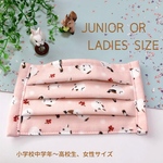 シマエナガ柄 プリーツマスク 小さめ大人サイズ 小学校高学年 中学生マスク 高校生マスク