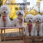 1103kuroneko様専用ページ