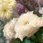 アトリエポプリさま専用のページ