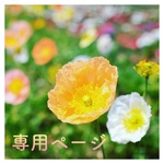 【 wako0514様 専用ページ 】