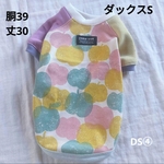 犬服 胴39 丈30 ダックス DS④