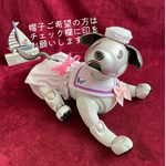aiboセーラー服